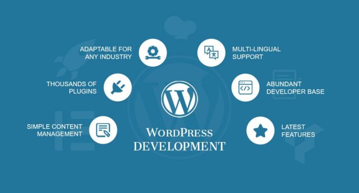 Wordpress hỗ trợ nhiều plugin thiết kế website, chuẩn SEO